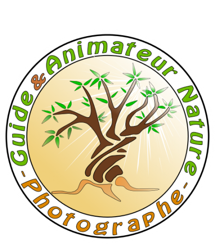 Sébastien COSTE – Guide & Animateur Nature – Photographe