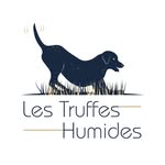 Truffes humides